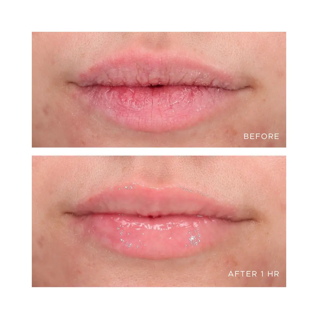 AN-GLOSS Ceramide Lip Treatment